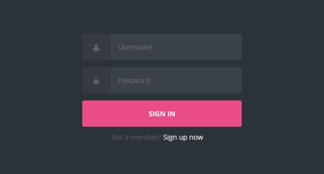 Black Elegant Login Form