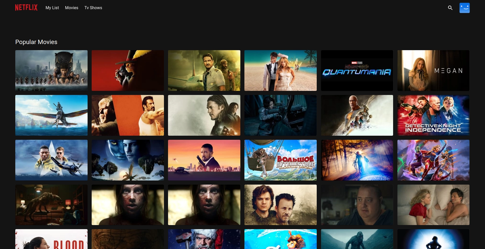Click to enlarge image Netflix Clone 2