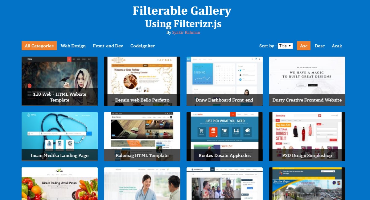 How to Create Filterable Gallery & Portfolio Using Filterizr.js