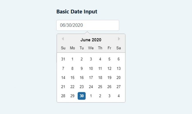basic date input