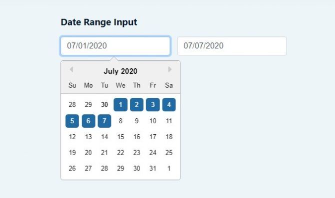 date range input